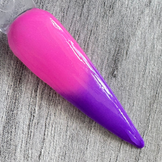 Solid Purple to Pink