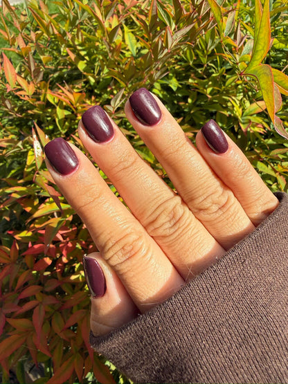 Dark Chocolate Dip Powder