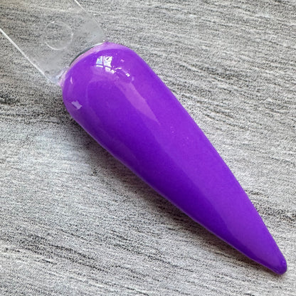 Solid Purple to Pink