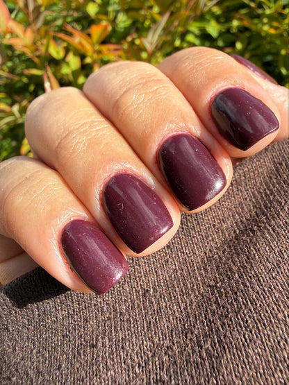 Dark Chocolate Dip Powder