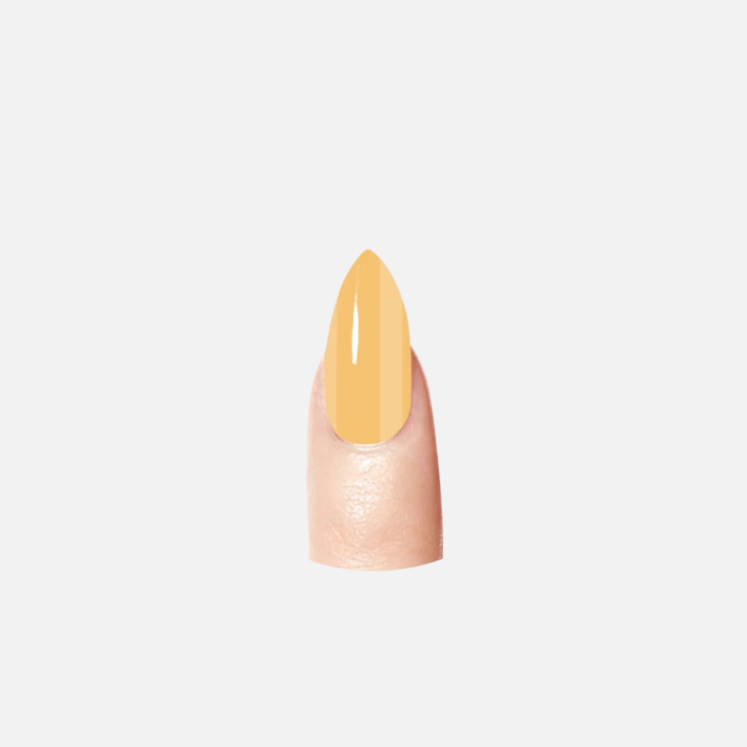 Butter Scotch