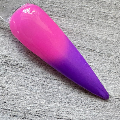 Solid Purple to Pink