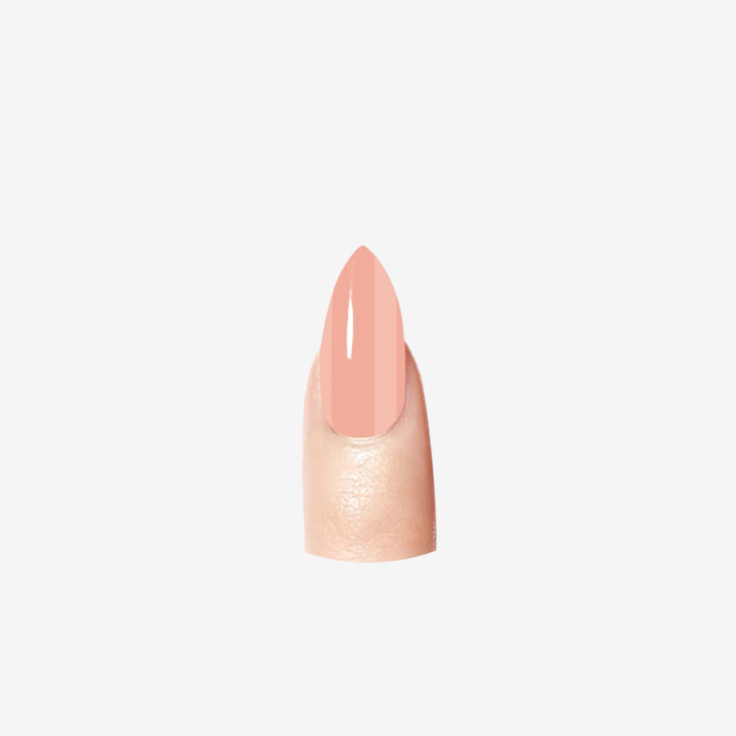 Flesh