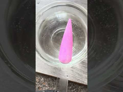 Solid Purple to Pink