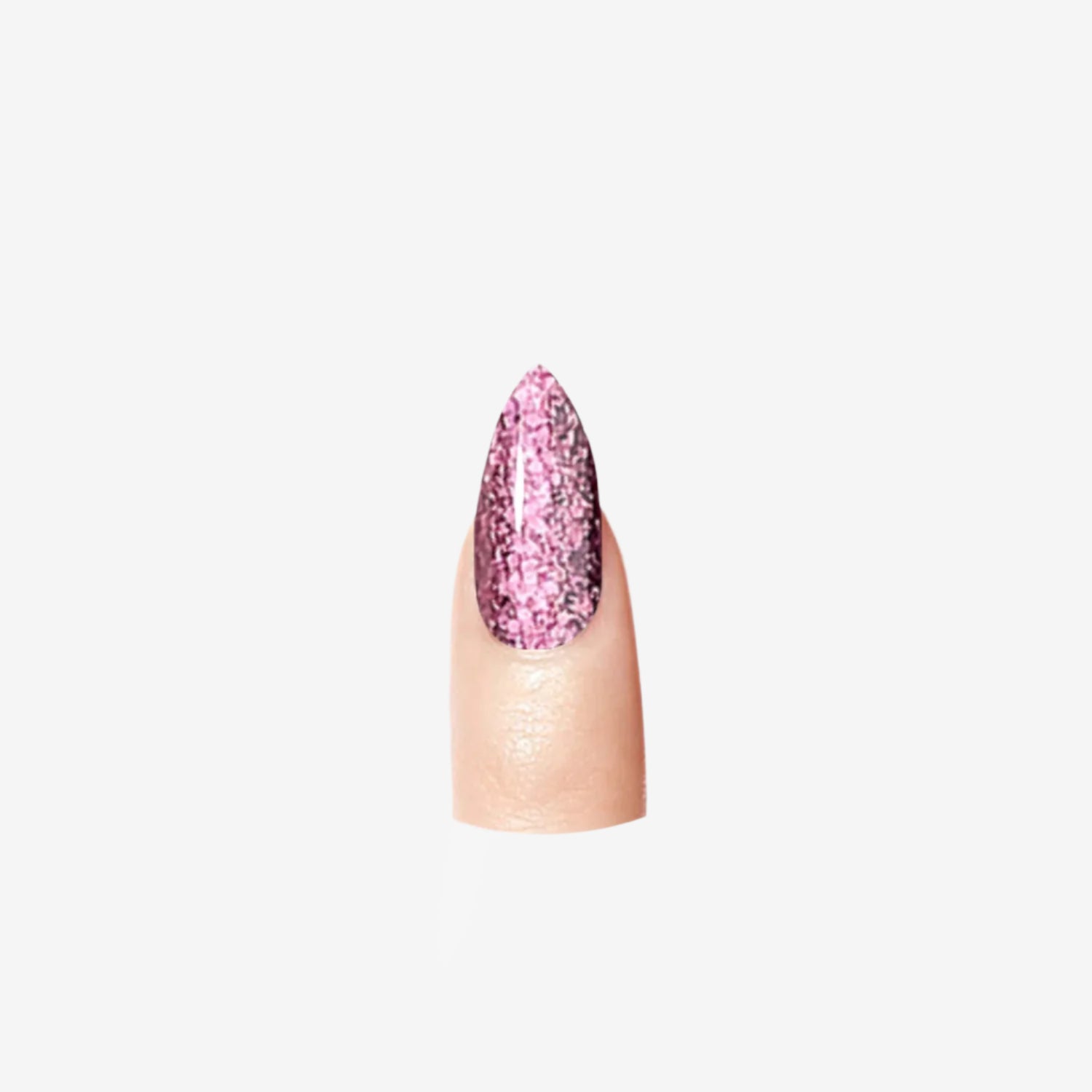 Raspberry Truffle